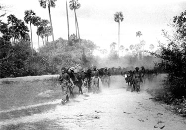 Mule transport as the Battalion leave the jungle and enter the Burma plains
