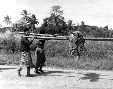 Malay Home Guard bringing in a tiger in Kroh