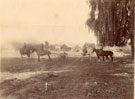 View: MR00213 Mounted infantry attached to 4th Division Company with a Galloper Gun