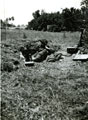View: MR01302 James Have (?) in Battalion Headquarters dug out