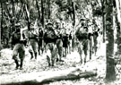 View: MR01506 Communist terrorists in training in jungle camp.
