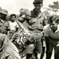 View: MR01519 Sgt Taylor and 2nd Lt Hicks inspecting a dead tiger.