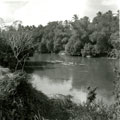 View: MR01523 The river at Alor Star, Kedah.