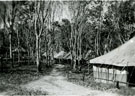 View: MR01525 British camp in rubber plantation