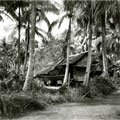 View: MR01540 Malay house at the end of a village
