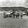 View: MR01576 Kroh. Company of men carrying pole, probably for watch tower.