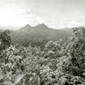 View: MR01734 The jungle from Klian Intan