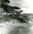 View: MR01738 River at Alor Star