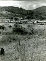 View: MR01759 Battalion Camp at Kroh