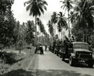 View: MR01767 B' Company being collected after a four or five day patrol in the Bongsu forest area.