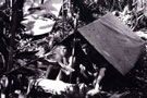 View: MR01779 Private Waters, on left, and Corporal Letsche sharing a jungle bivouac