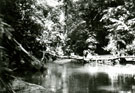 View: MR01790 A river crossing