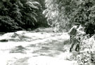 View: MR01818 On patrol in the jungle