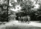 View: MR01957 Nijmegen Marches