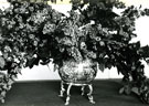View: MR02105 Silver Planter. Part of the Regimental Silver Collection