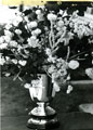 View: MR02142 Silver trophy being used for floral decoration