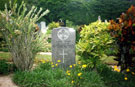 View: MR02154 Grave of Private Alex Cooper who died 11th January 1954.