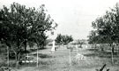 View: MR02156 Elandslaagte Battle Cemetery