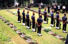 View: MR02200 Kohima Cemetery: The grave of Private Harry Pooler from 2nd Battalion is marked with a red poppy.