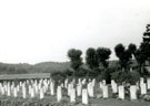 View: MR02238 Suzanne Cemetery where men from the 17th Battalion are buried.