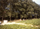 View: MR02388 Manchester Hill redoubt, Saint Quentin