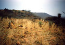 View: MR02397 Caesar's Camp, looking towards Wagon Hill