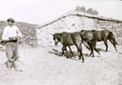 View: MR02433 Imbros - man who has been threshing corn with three horses