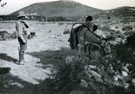 View: MR02442 Ration donkey and man. Note battalion helmet flash