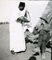 View: MR02472 Heliopolis Camp with local servant