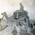 View: MR02487 Officer on camel