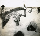 View: MR02490 Digging in desert