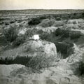 View: MR02508 Trench in desert