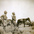 View: MR02523 Two officers, men and mules resting