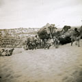View: MR02528 Camel train