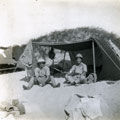 View: MR02576 Bivouac in desert