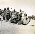 View: MR02586 Soldiers with camel