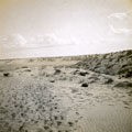 View: MR02588 Desert