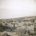 View: MR02589 Desert