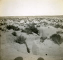 View: MR02594 Desert