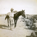 View: MR02612 Soldiers with man leading horse