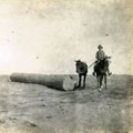 View: MR02626 Soldier and two horses in desert with tree trunk
