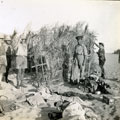 View: MR02627 Building brushwood shelter in desert