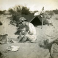 View: MR02632 A lick and wash in desert