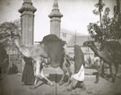View: MR02664 Camels in street