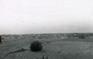 View: MR02737 Wadi el Amish