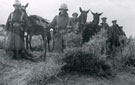 View: MR02740 Lewis gun mules at Mazar