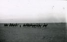 View: MR02741 Camel convoy at Shallufa