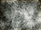 View: MR02769 Unidentified aerial reconnaissance photograph