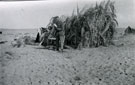 View: MR02773 Palm leaf hut in Naghiliat