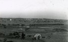 View: MR02776 General view of Mayar showing camels, men and horses in desert